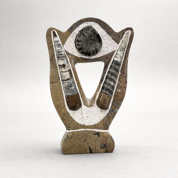 Orthoceras and Ammoite Fossil Plate Sculpture (9 to 10 Inches) Crystal Gemstone Home DecorCrystal River Gems