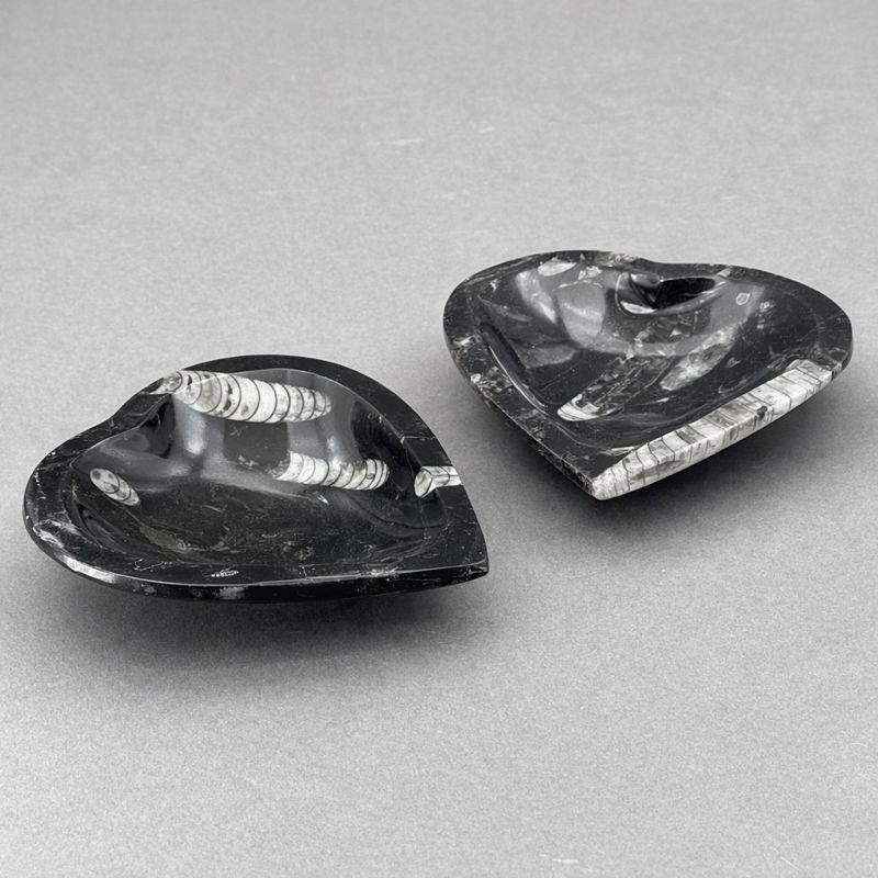 Orthoceras Fossil Heart Bowl (1 Piece) (4.5 to 5 Inches)Crystal River Gems