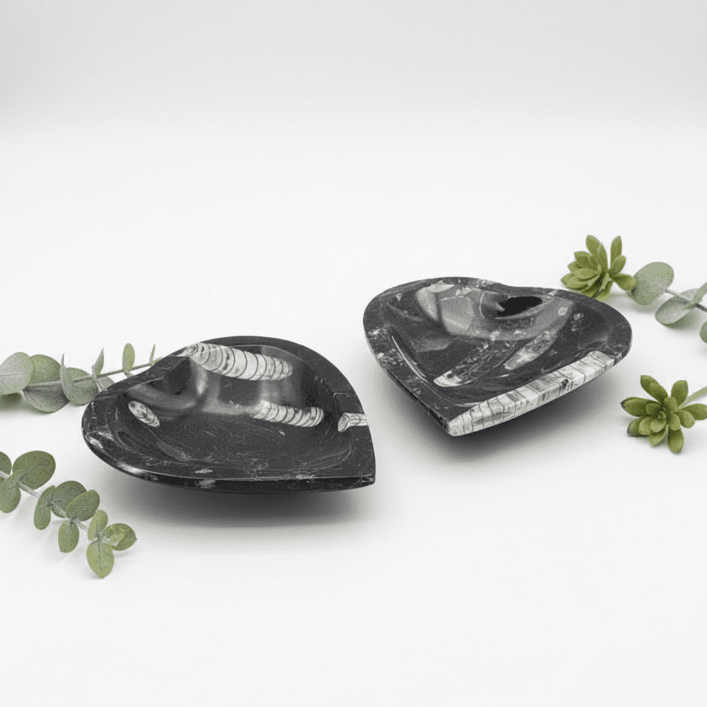 Orthoceras Fossil Heart Bowl (1 Piece) (4.5 to 5 Inches)Crystal River Gems