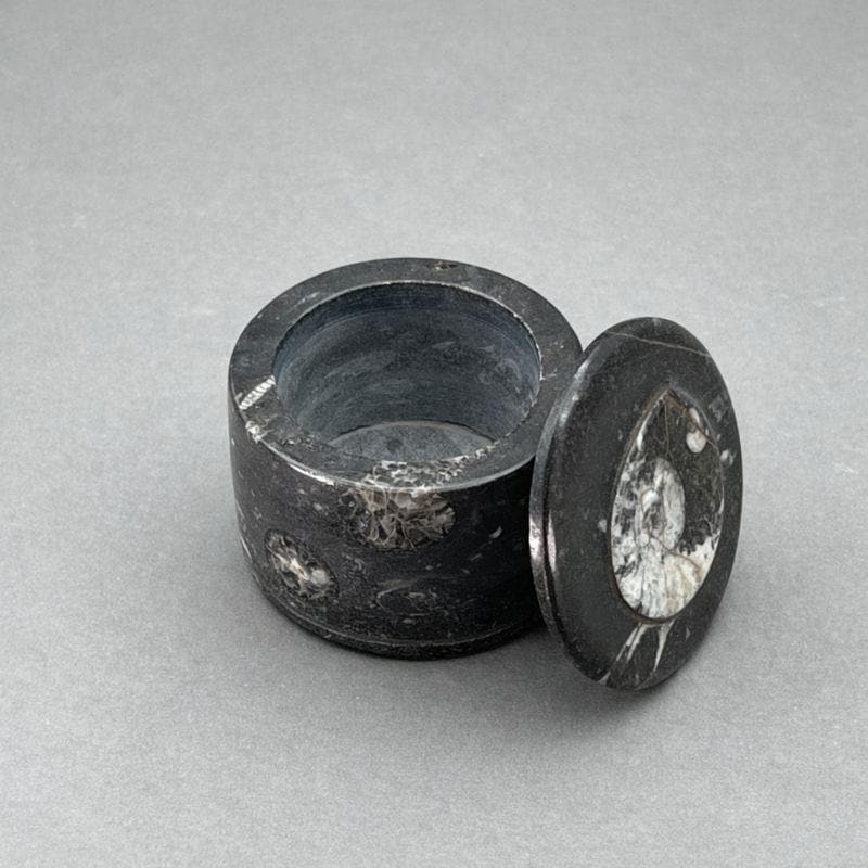 Orthoceras Fossil Jewelry Round Box (1 Piece)Crystal River Gems