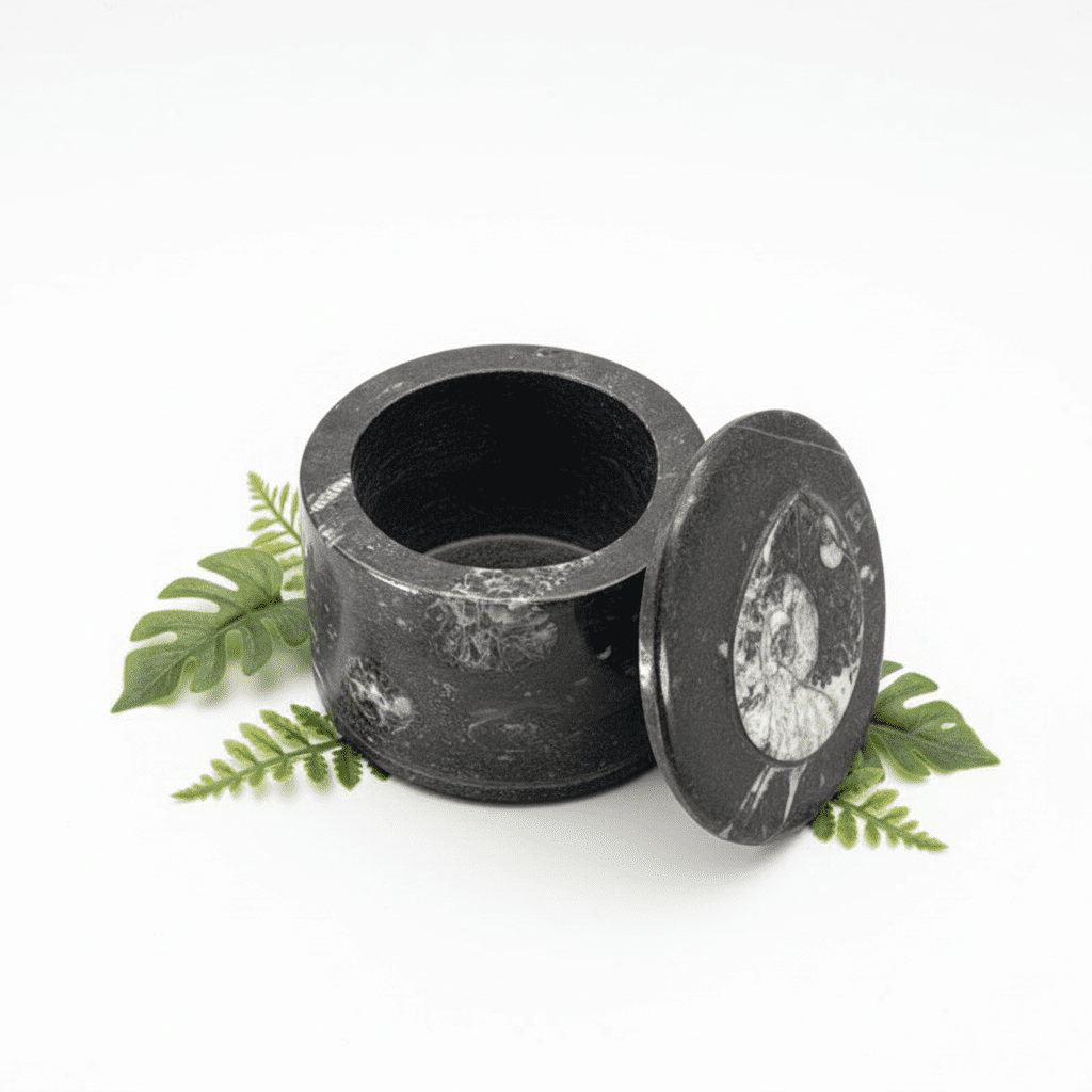 Orthoceras Fossil Jewelry Round Box (1 Piece)Crystal River Gems