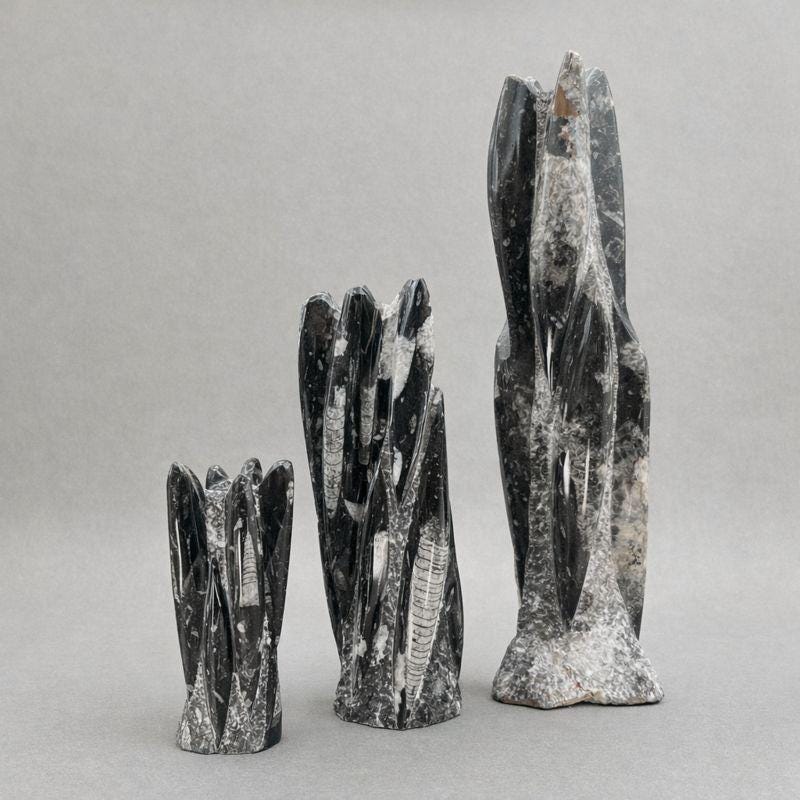 Orthoceras Fossil Tower Sculpture (1 Piece)Crystal River Gems