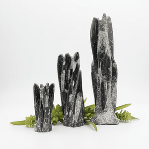 Orthoceras Fossil Tower Sculpture (1 Piece)