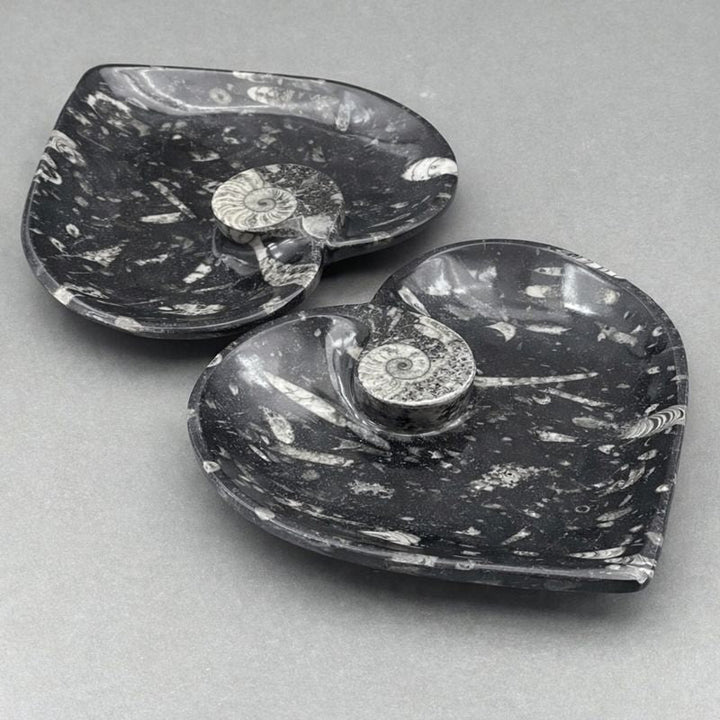 Orthoceras Heart plate with Ammonite (1 Piece)Crystal River Gems