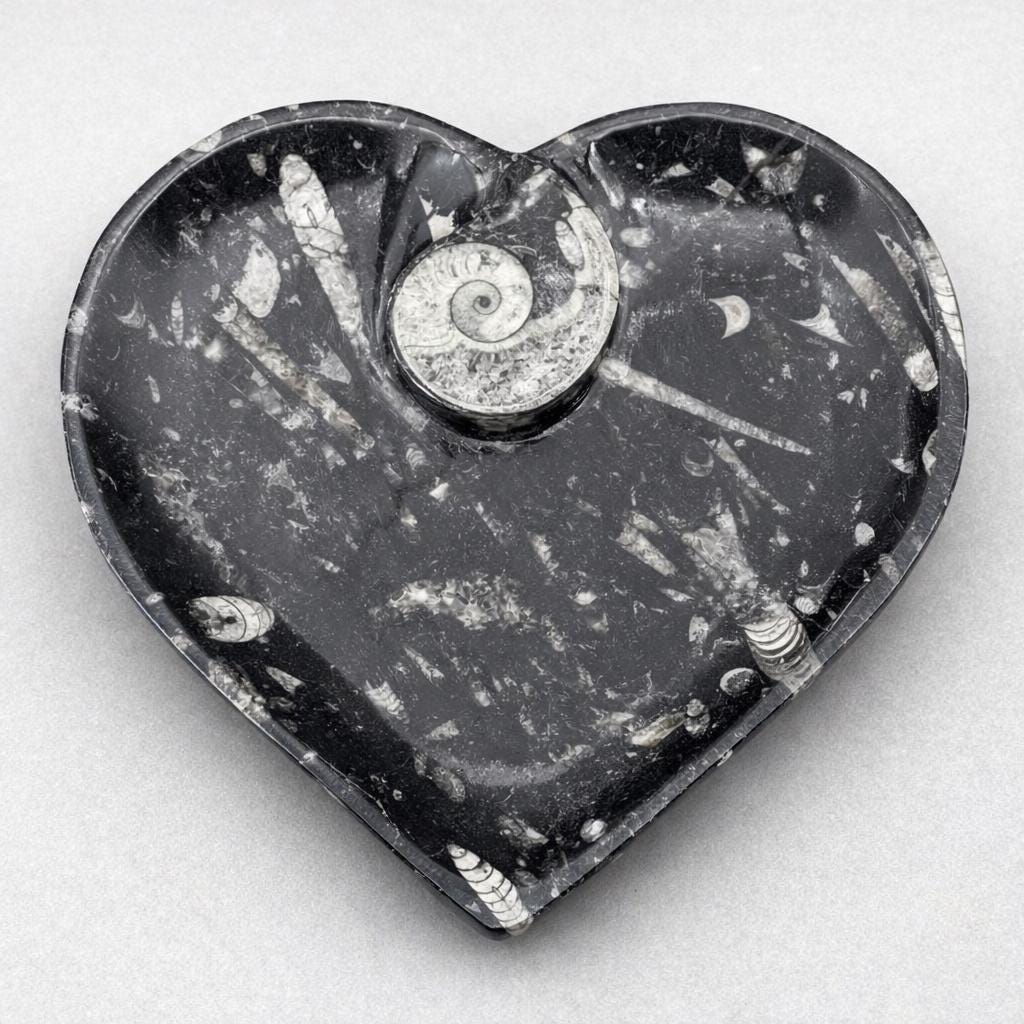 Orthoceras Heart plate with Ammonite (1 Piece)Crystal River Gems