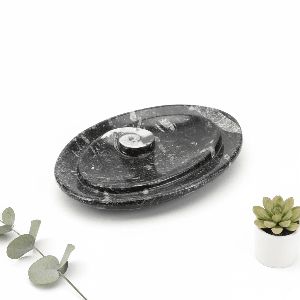 Orthoceras With Ammonite Spiral Fossil Oval Dish (1 Piece)Crystal River Gems