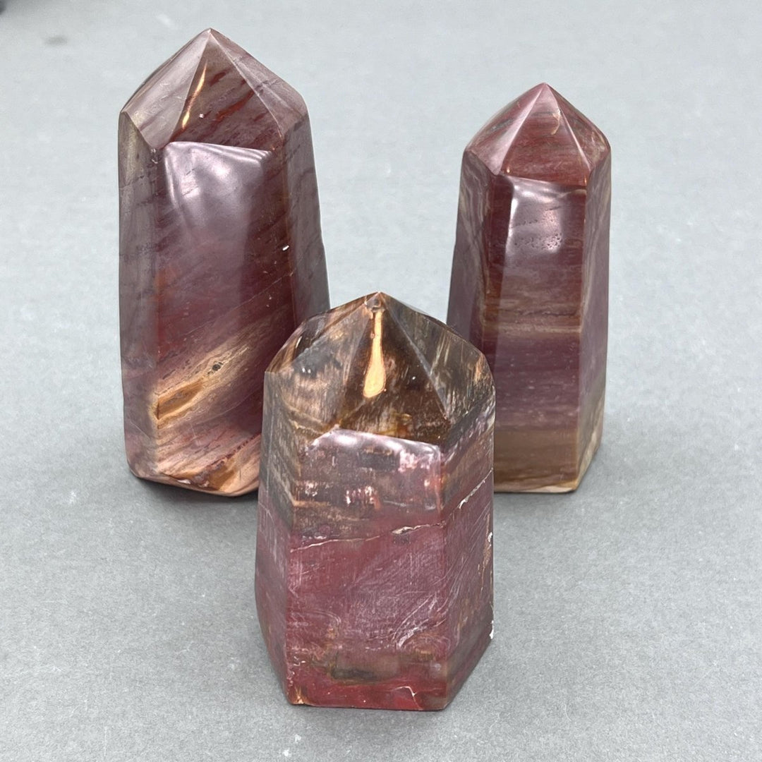 Petrified Wood Polished Standing Hexagon Point TowerCrystal River Gems