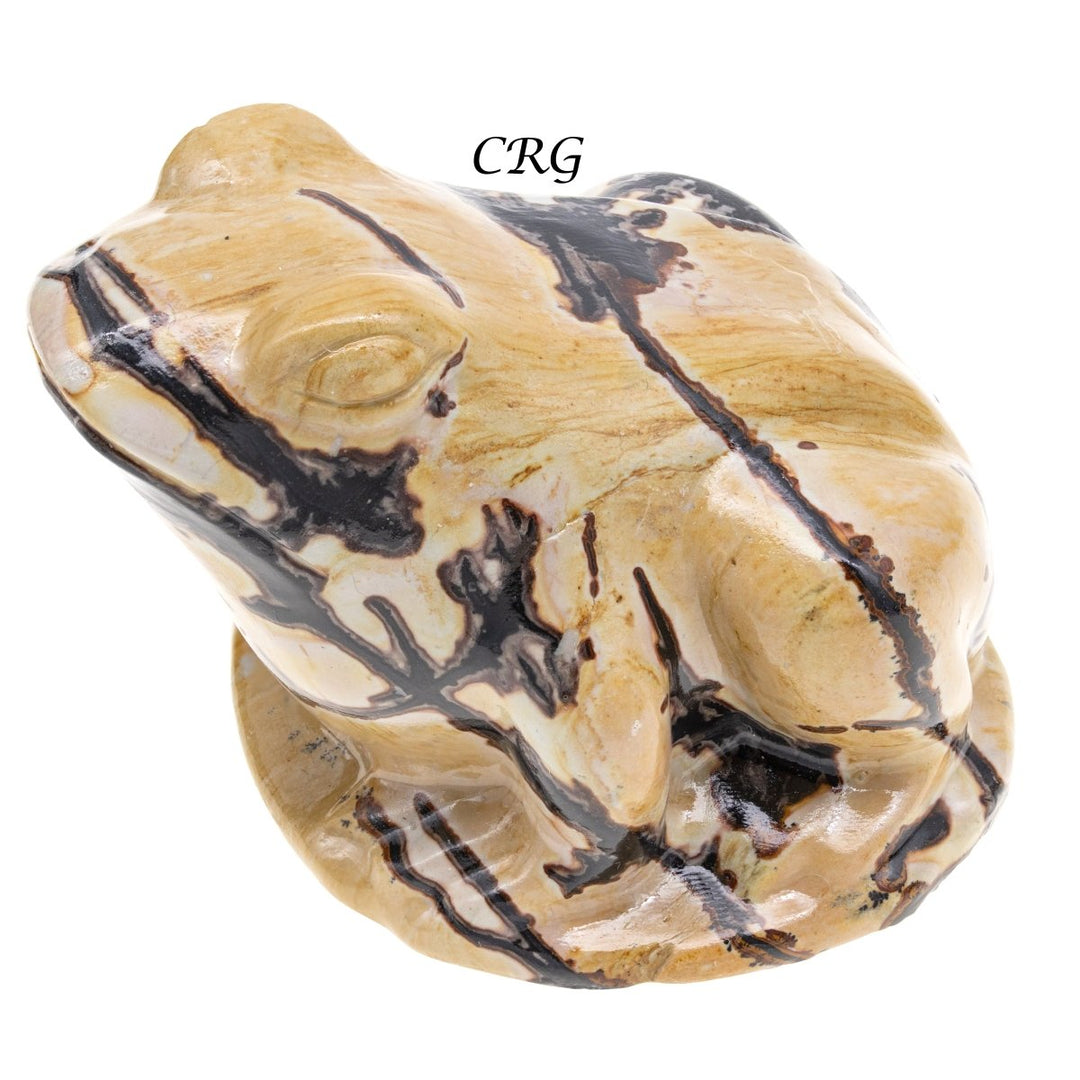 Picture Jasper Frog (1 Piece) Size 2.5 Inches Crystal Gemstone Animal Carving