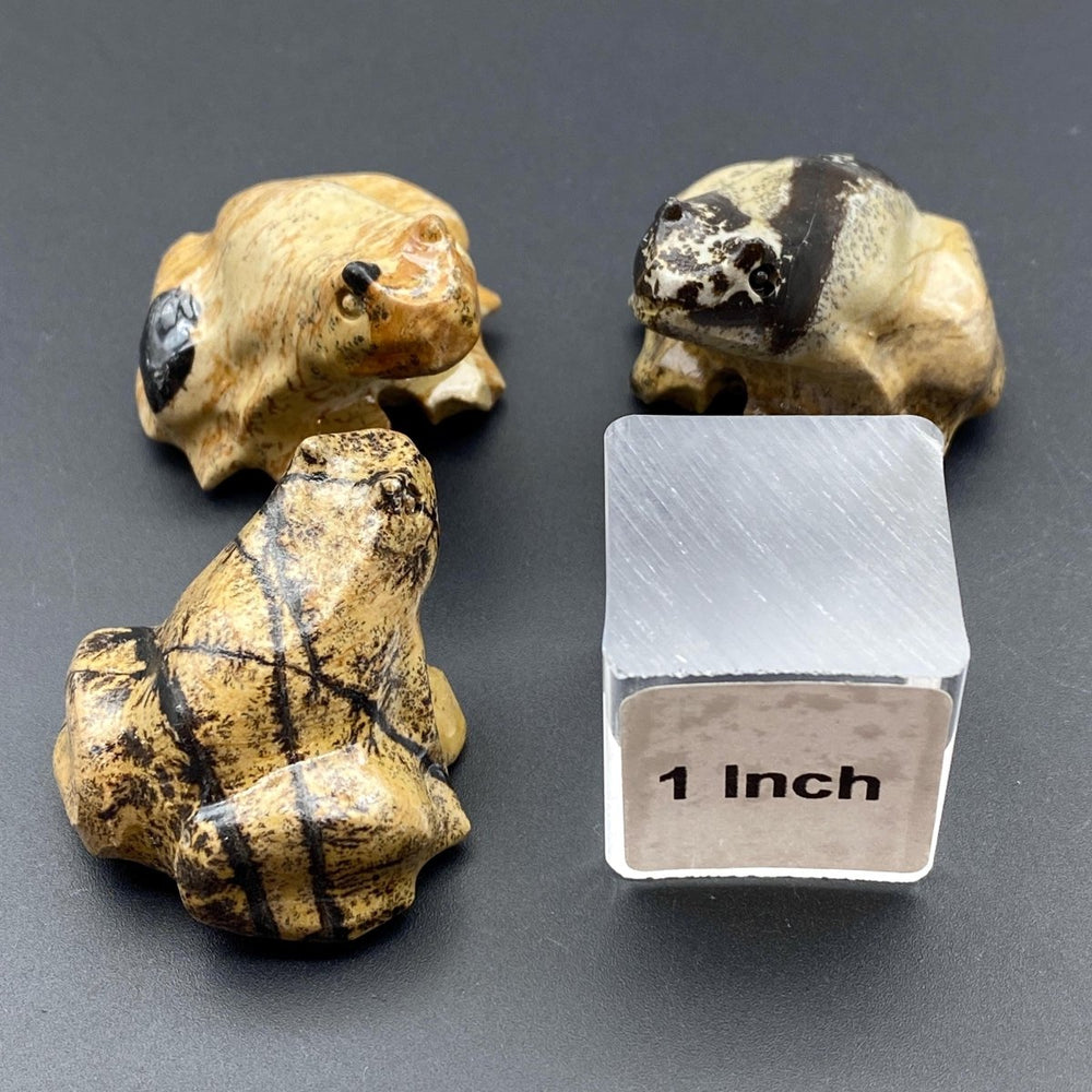 Picture Jasper Small Frog FigurineCrystal River Gems