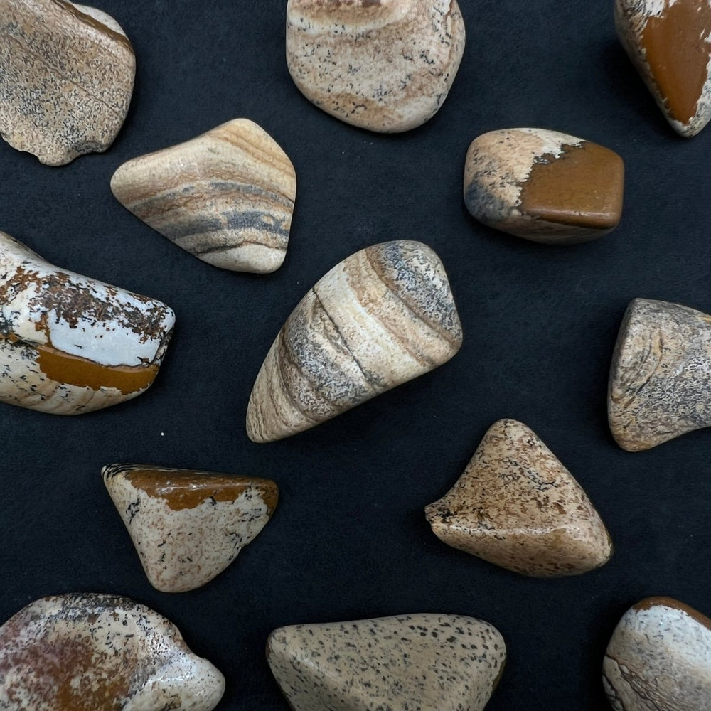 Picture Jasper Tumbled Bulk StonesCrystal River Gems