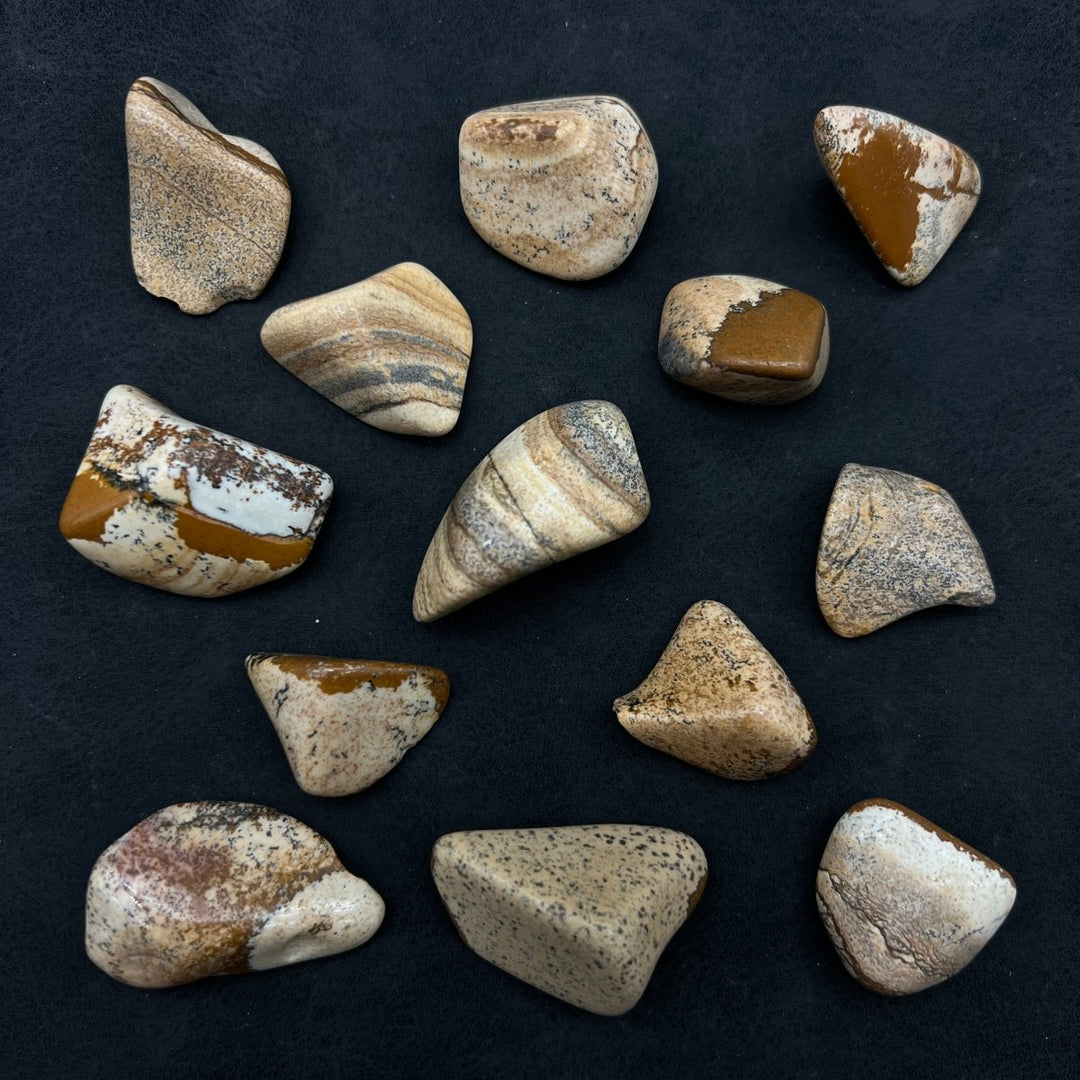 Picture Jasper Tumbled Bulk StonesCrystal River Gems