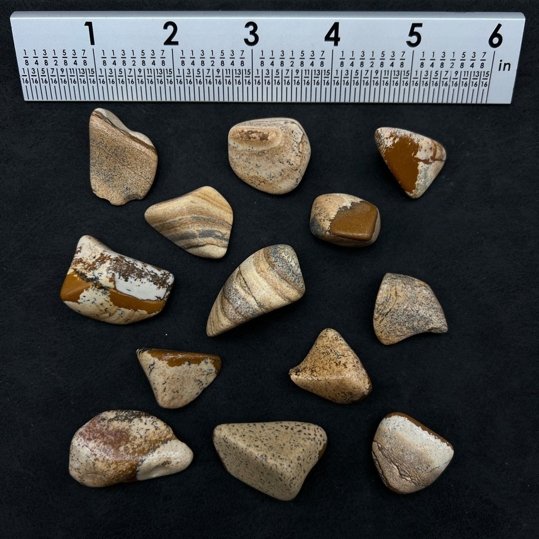 Picture Jasper Tumbled Bulk StonesCrystal River Gems