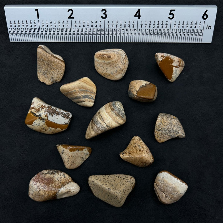 Picture Jasper Tumbled Bulk StonesCrystal River Gems