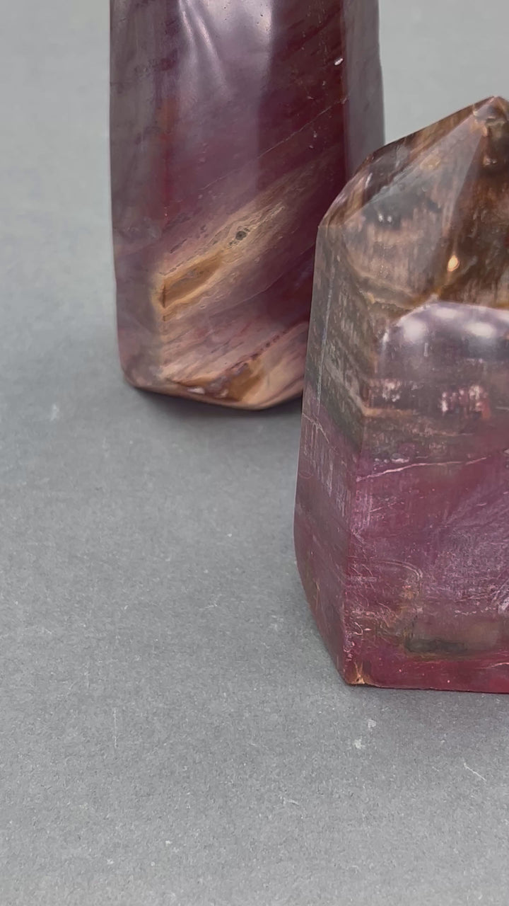 Petrified Wood Polished Standing Hexagon Point Tower