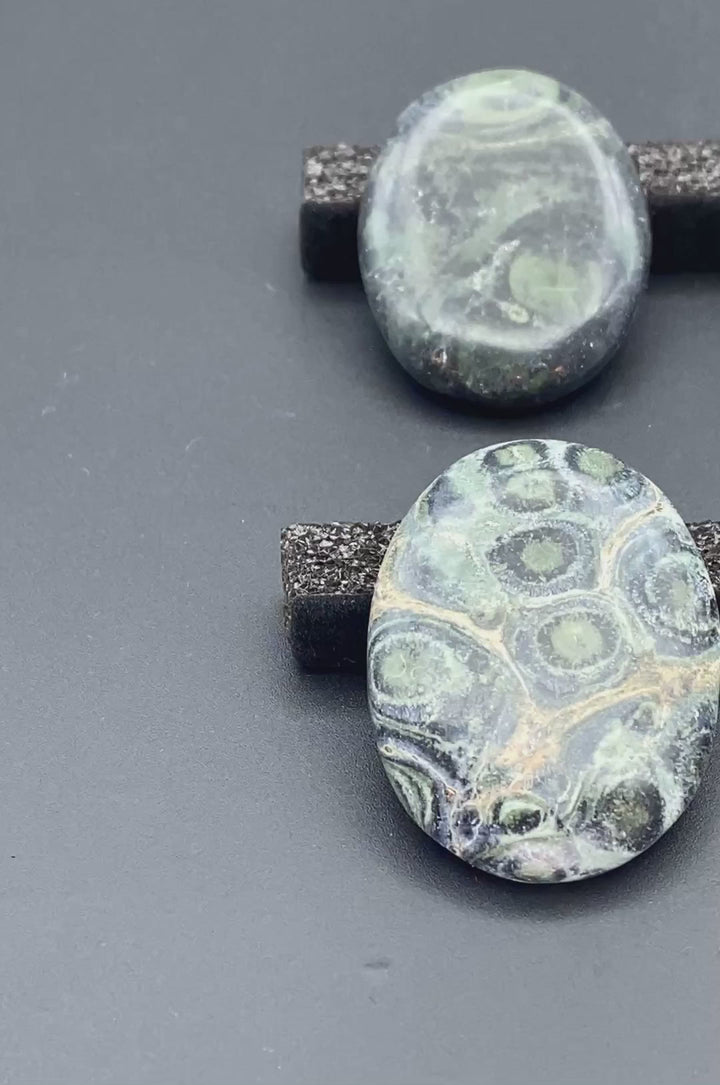 Kambaba Jasper Polished Cabochons