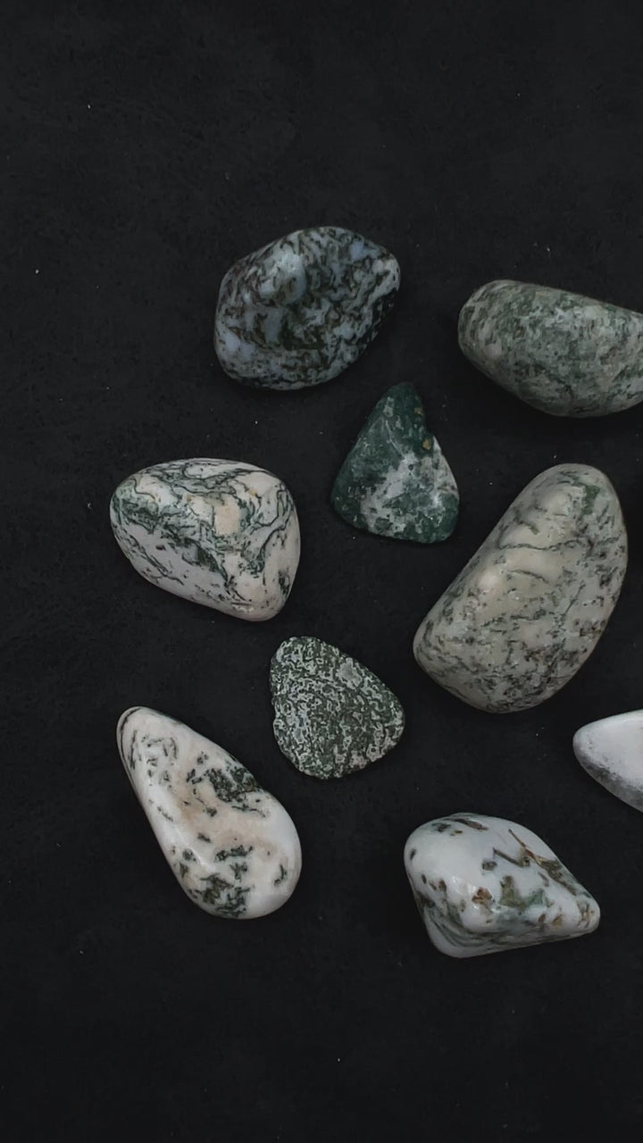 Tumbled Tree Agate (1 Pound)
