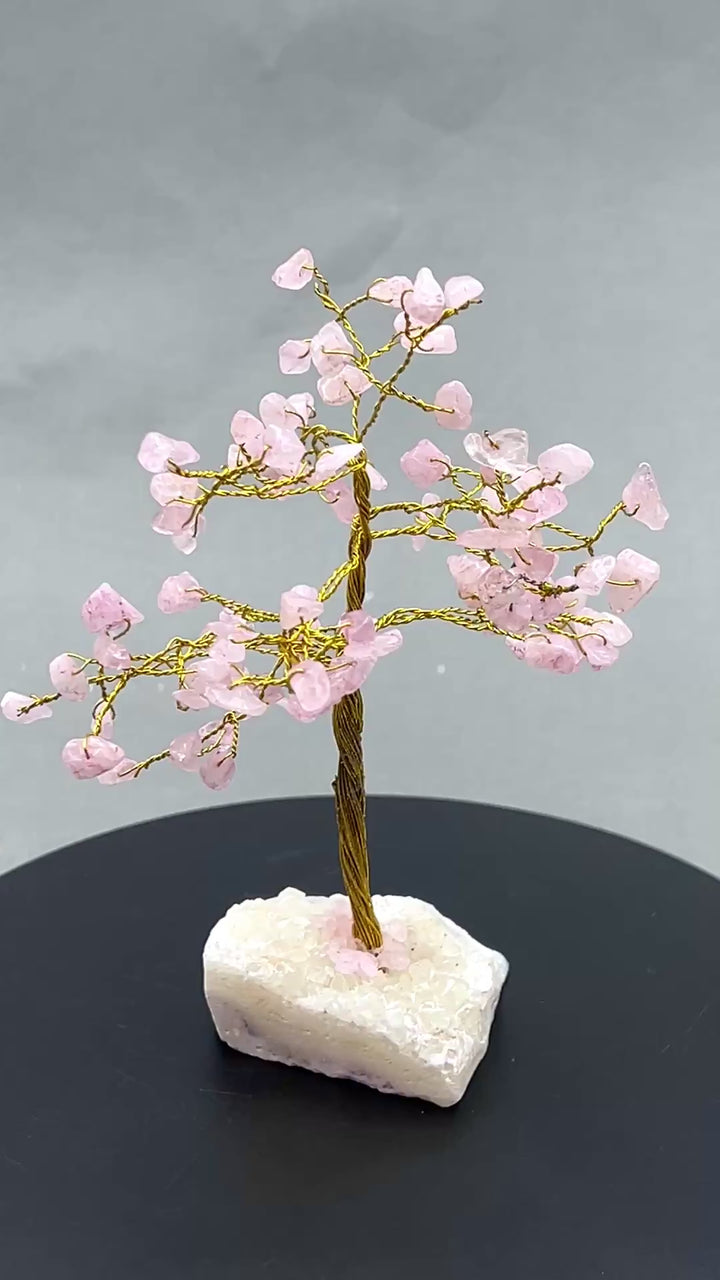 Rose Quartz 100 Chip Tree with Gold Wire and Druzy Base