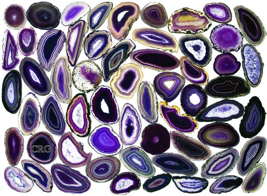 Purple Agate Slice (Size #0) (2 to 3 inches) Grade A Brazilian Agate Geode Slice Wholesale CrystalsCrystal River Gems
