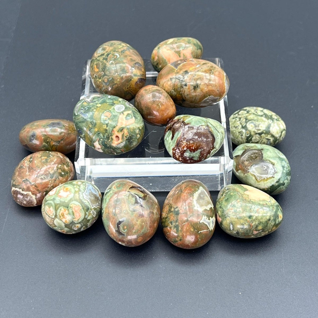 Rainforest Rhyolite Tumbled Bulk StonesCrystal River Gems