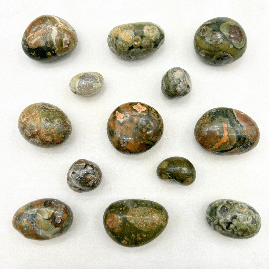 Rainforest Rhyolite Tumbled Bulk StonesCrystal River Gems