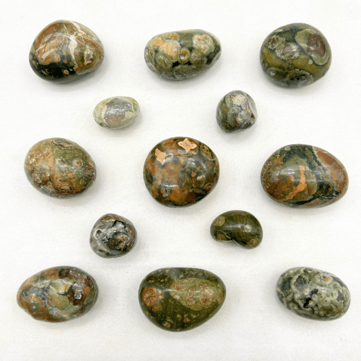 Rainforest Rhyolite Tumbled Bulk StonesCrystal River Gems