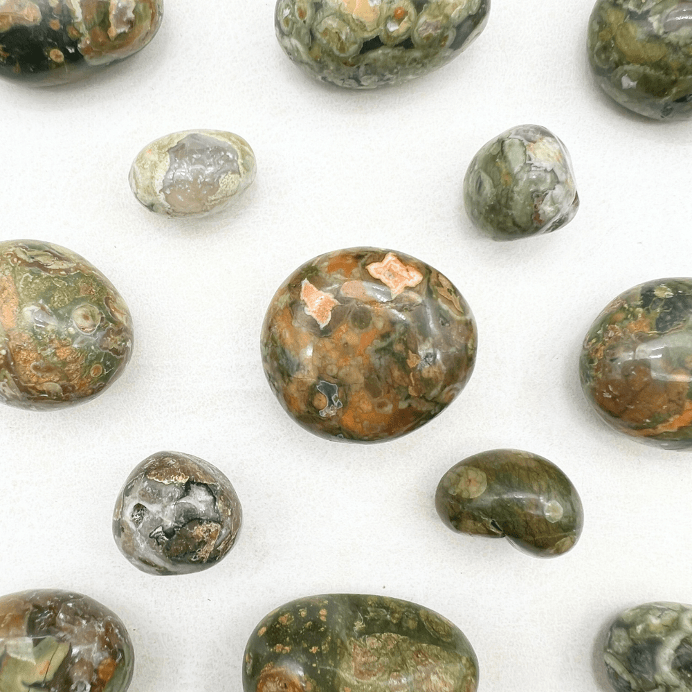 Rainforest Rhyolite Tumbled Bulk StonesCrystal River Gems