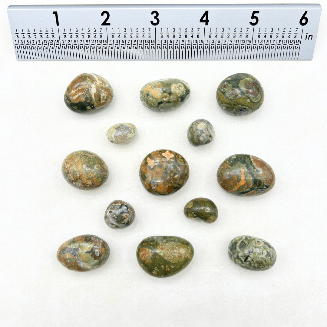 Rainforest Rhyolite Tumbled Bulk StonesCrystal River Gems