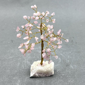 Rose Quartz 100 Chip Tree with Gold Wire and Druzy Base
