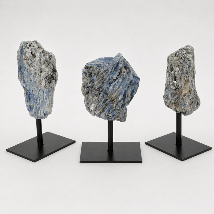 Rough Kyanite on Metal StandCrystal River Gems