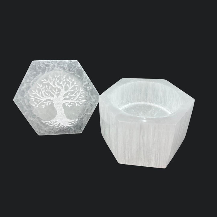 Selenite Hex Box With Tree of Life Carved on LidCrystal River Gems