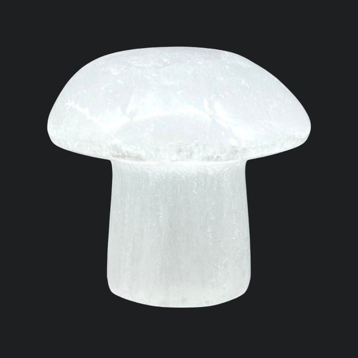 Selenite Mushroom 2 Inches (1 Piece)Crystal River Gems