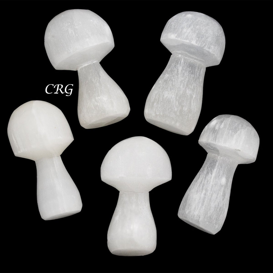 Selenite Mushroom (1 Piece) Size 2 to 3 Inches Crystal Gemstone Shape