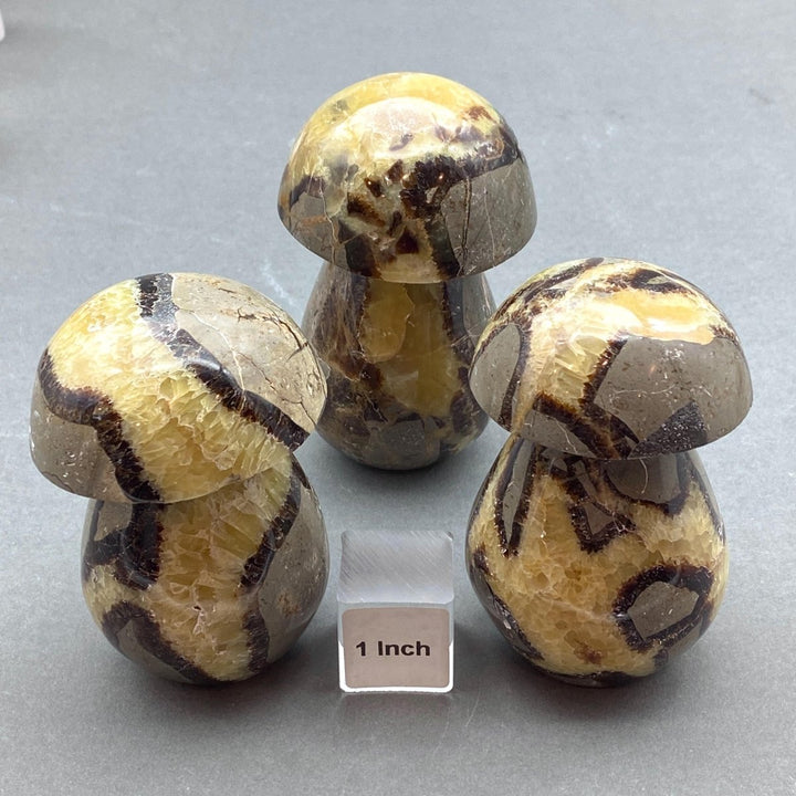 Septarian Calcite Large MushroomCrystal River Gems