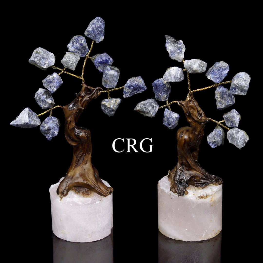 Sodalite Chip Tree with Round Polished Crystal Base (2 Pieces) Size 3.5 to 4 Inches Gemstone Home Decor