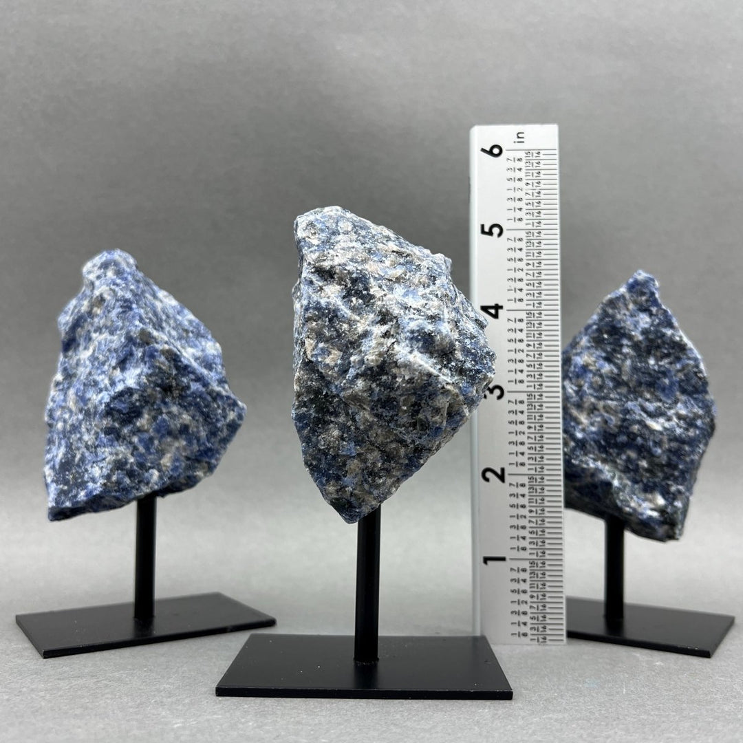 Sodalite Rough Specimen on Metal Stand Gemstone Home Decor Wholesale Crystal SupplyCrystal River Gems