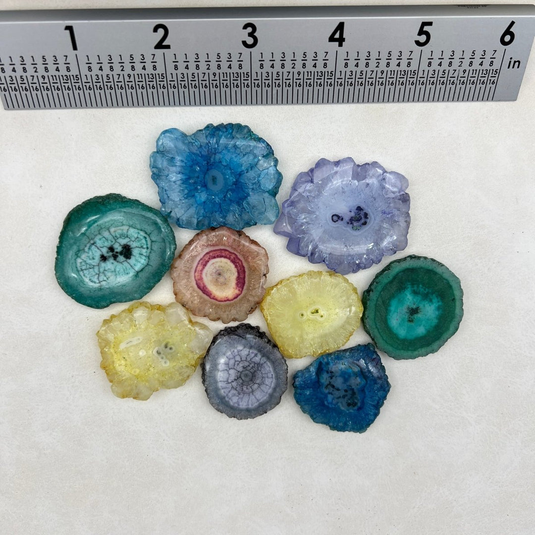 Solar Quartz Dyed Stalactite Slices (8 Ounce Lot)Crystal River Gems