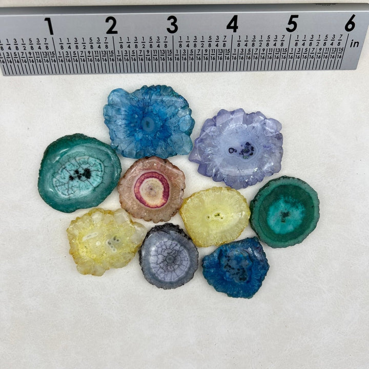 Solar Quartz Dyed Stalactite Slices (8 Ounce Lot)Crystal River Gems