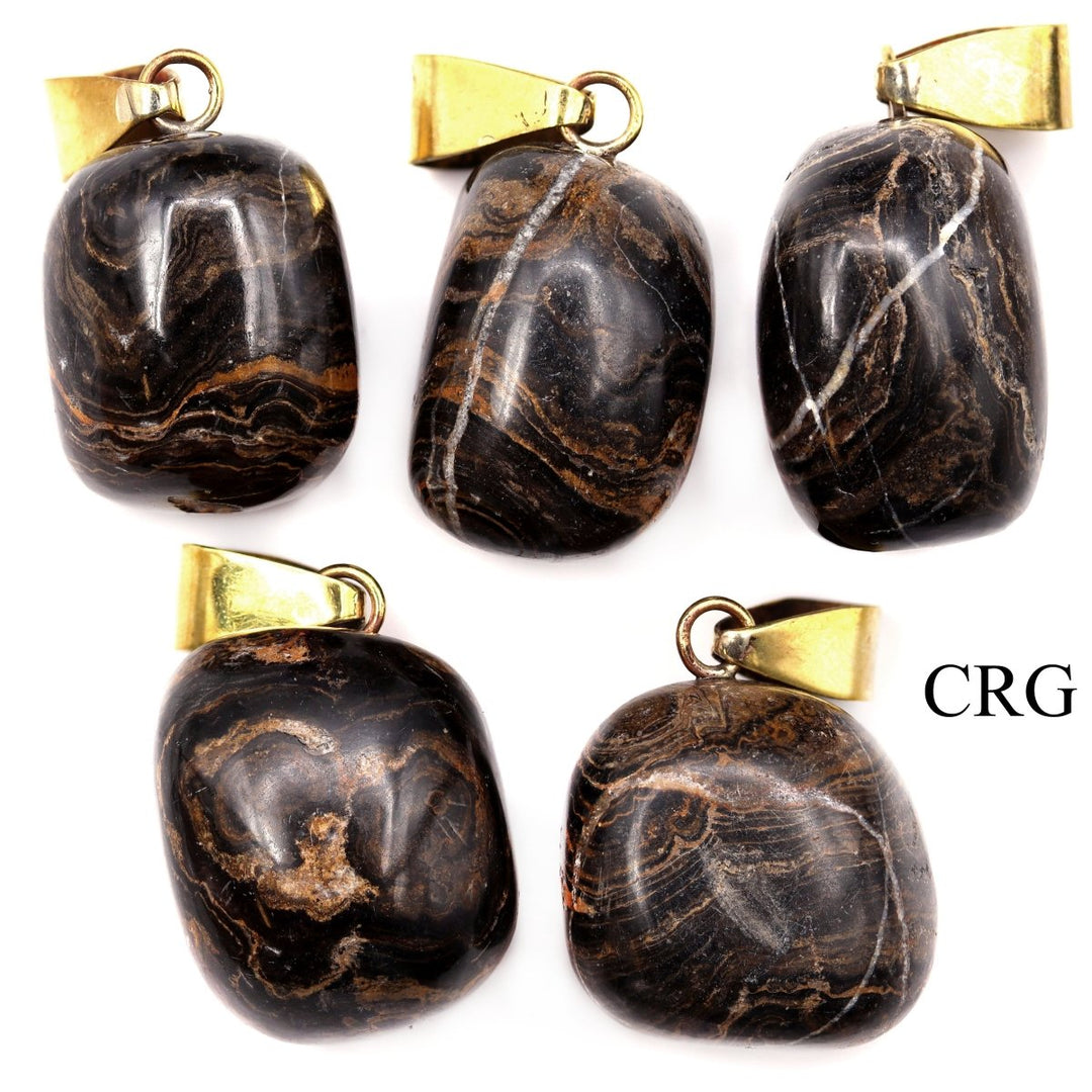 Stromatolite Tumbled Pendant with Gold Bail (1 Piece) Size 1 to 2 Inches Crystal Jewelry Charm