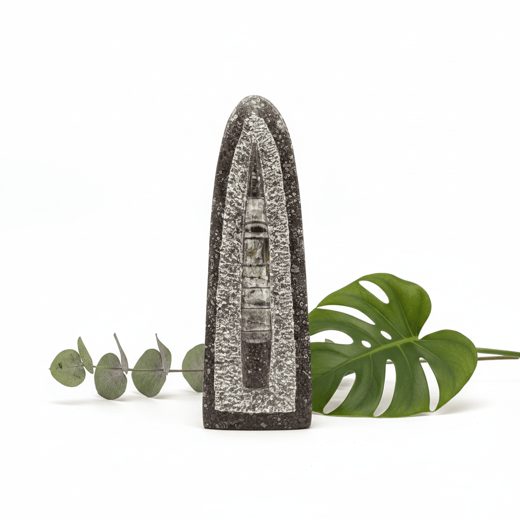 Tall Orthoceras Fossil Standing Display Sculpture (1 Piece) Size 11 to 13 Inches Crystal Gemstone Home DecorCrystal River Gems