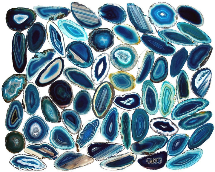 Teal Agate Slice (Size #0) (2 to 3 inches) Grade A Brazilian Agate Geode Slice Wholesale CrystalsCrystal River Gems