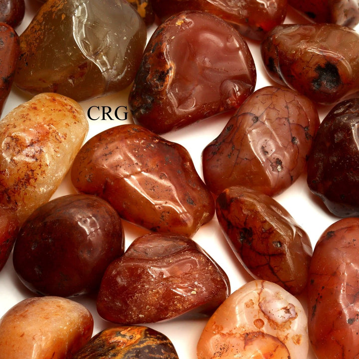 Tumbled Carnelian Agate 20 - 50 mm (1 Pound) Wholesale LotCrystal River Gems