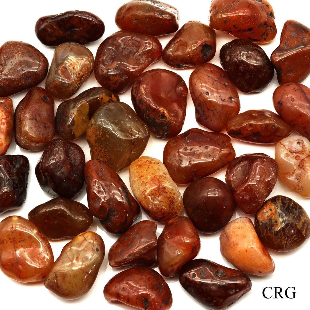 Tumbled Carnelian Agate 20 - 50 mm (1 Pound) Wholesale LotCrystal River Gems