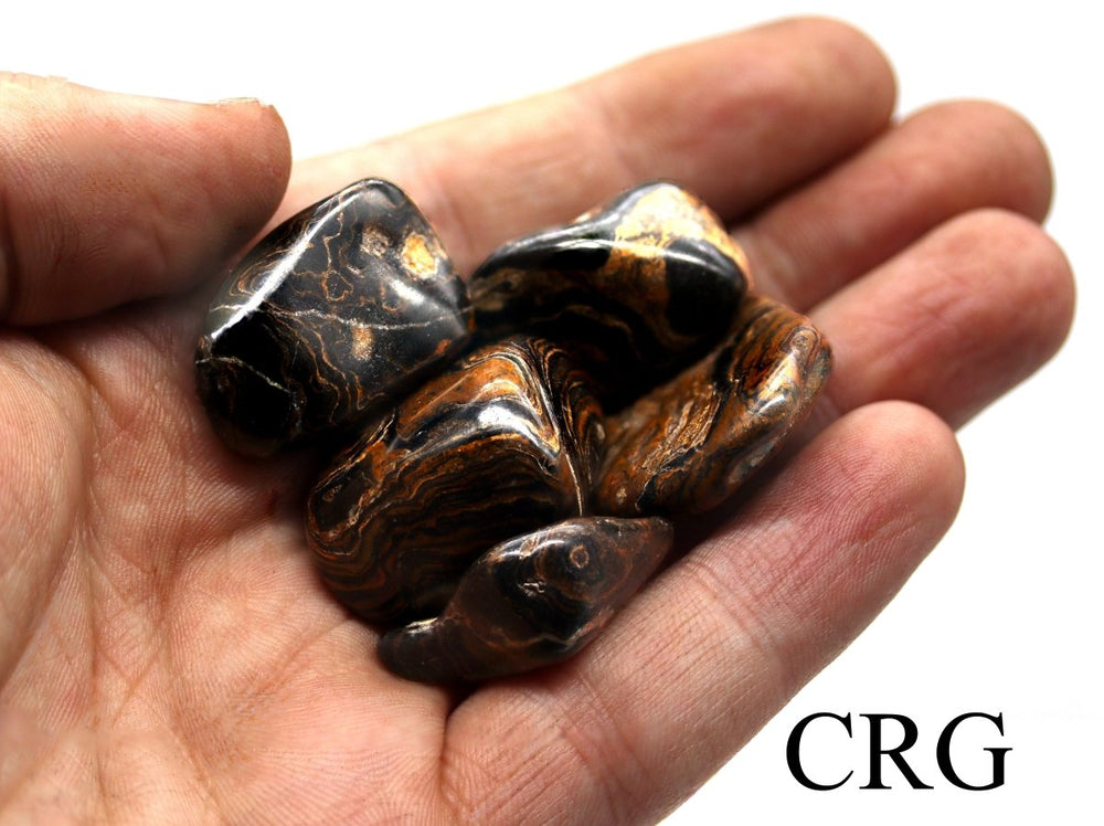 Tumbled Stromatolite (20 - 35 mm) (1 Kilogram) Tumbled Crystal WholesaleCrystal River Gems