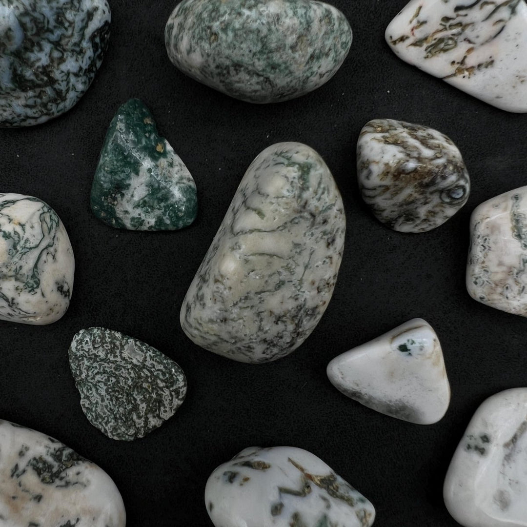 Tumbled Tree Agate (1 Pound)Crystal River Gems