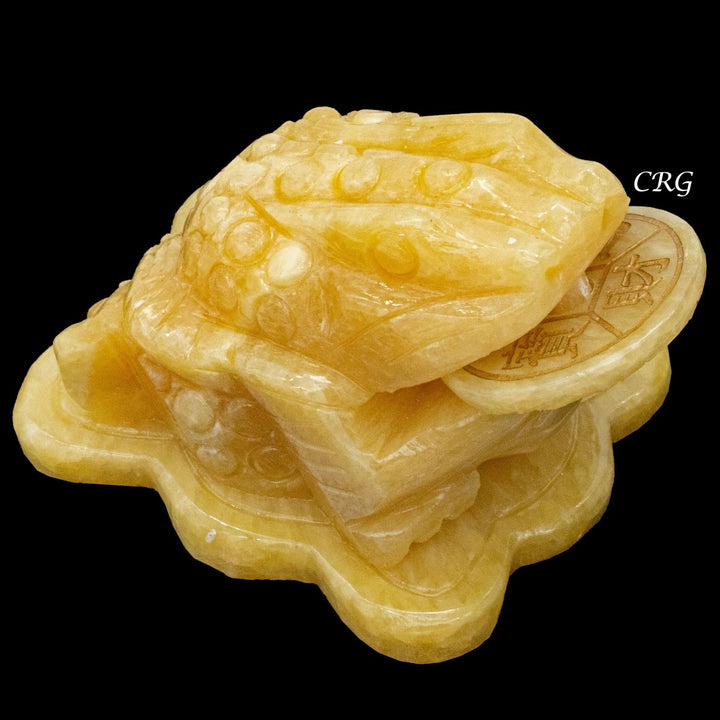Yellow Calcite Good Lucky Money Frog Toad (1 Piece) Size 3 Inches Crystal Gemstone Animal Carving