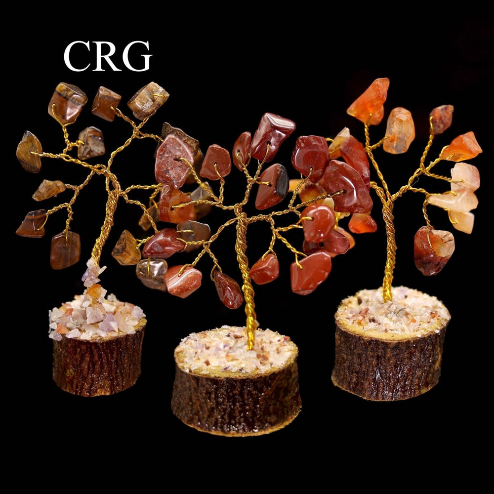 7 Stone Gemstone Chip Tree Box Set / 1-3" AVG - SET OF 12