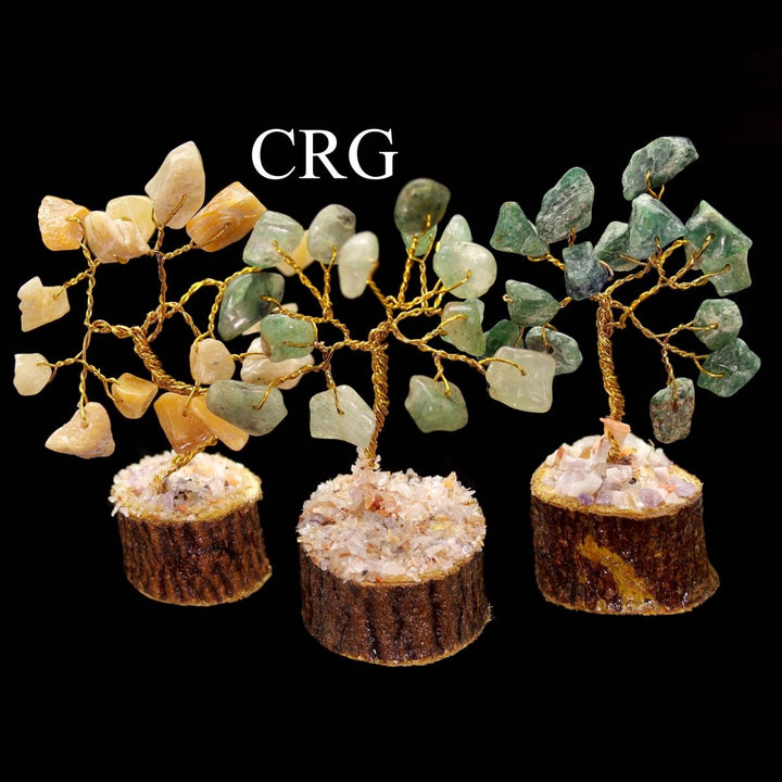 7 Stone Gemstone Chip Tree Box Set / 1-3" AVG - SET OF 12