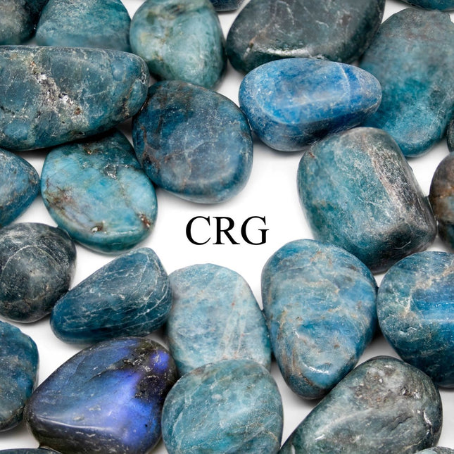 1 LB. - Blue Apatite Tumbled Stones - Crystal River Gems