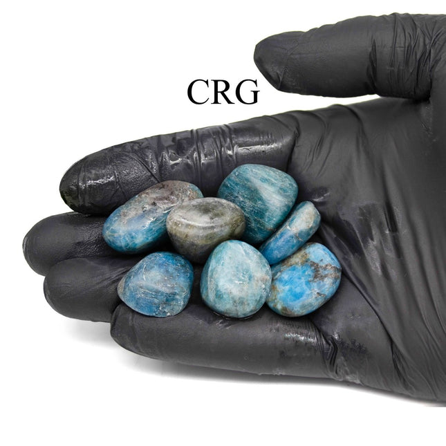 1 LB. - Blue Apatite Tumbled Stones - Crystal River Gems