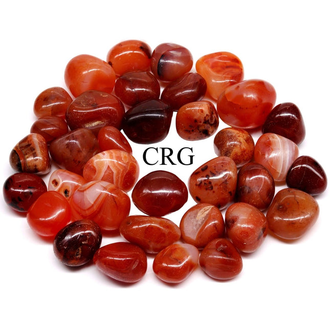 1 LB. LOT - Carnelian SUPER Tumbled from India / 20-40MM AVG - Crystal River Gems